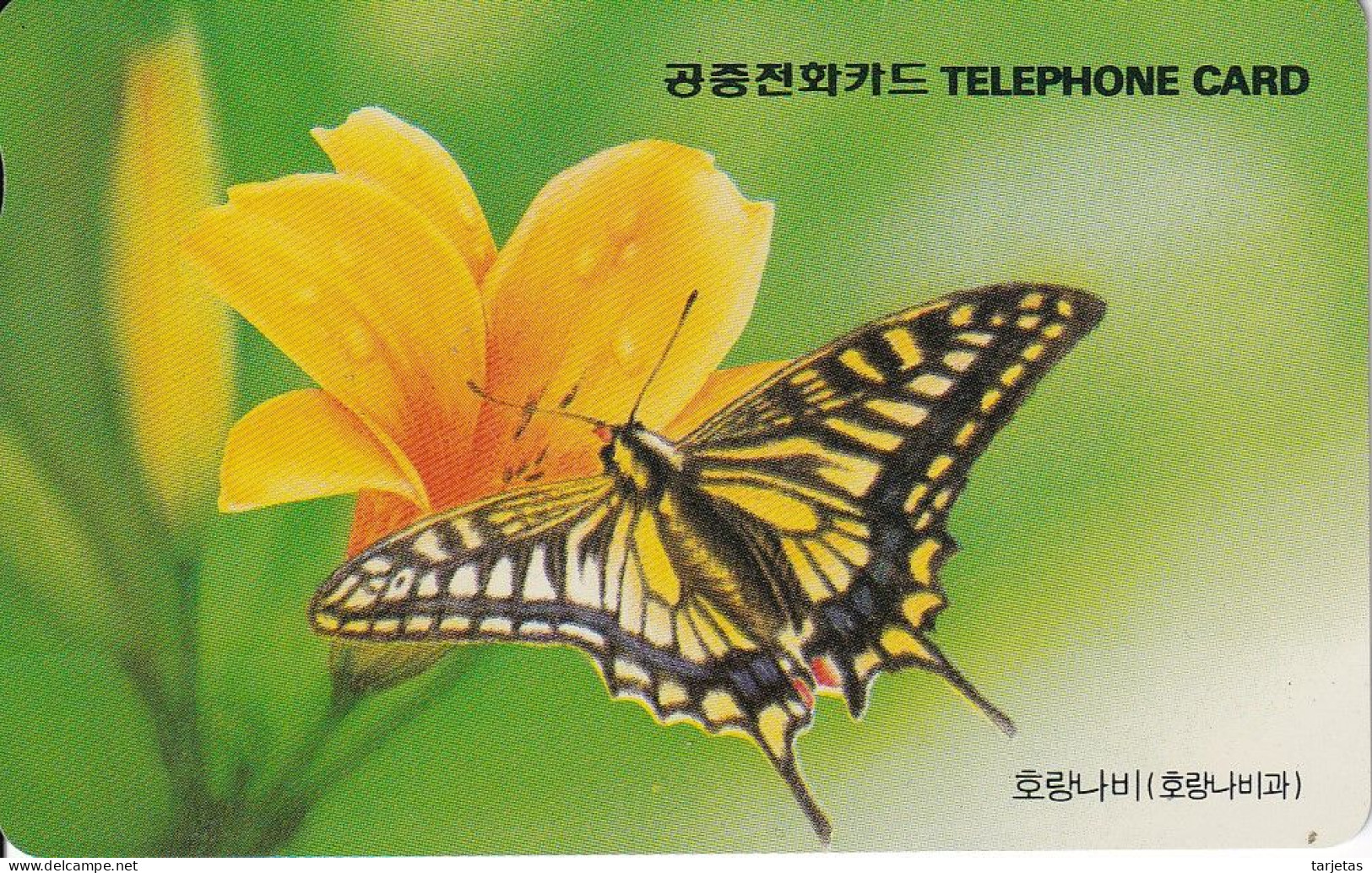 TARJETA DE COREA DE UNA MARIPOSA (BUTTERFLY) - Papillons