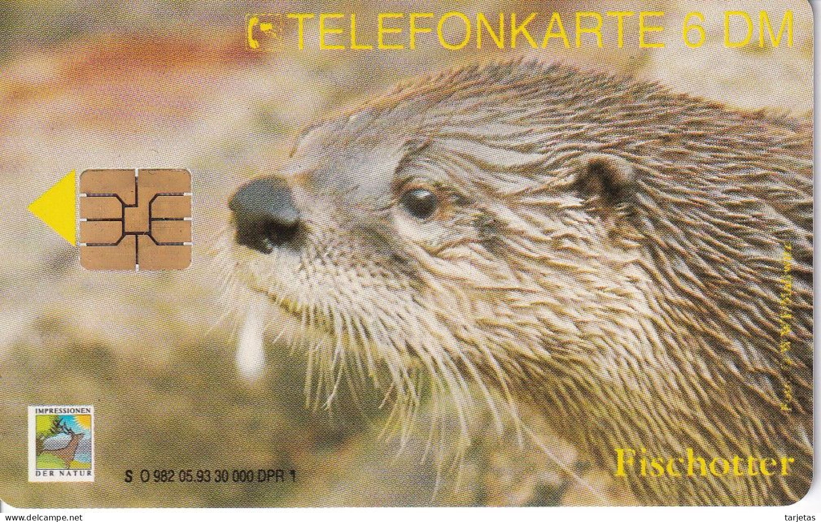 TARJETA DE ALEMANIA DE UNA NUTRIA DE TIRADA 30000 (OTTER) - Otros & Sin Clasificación