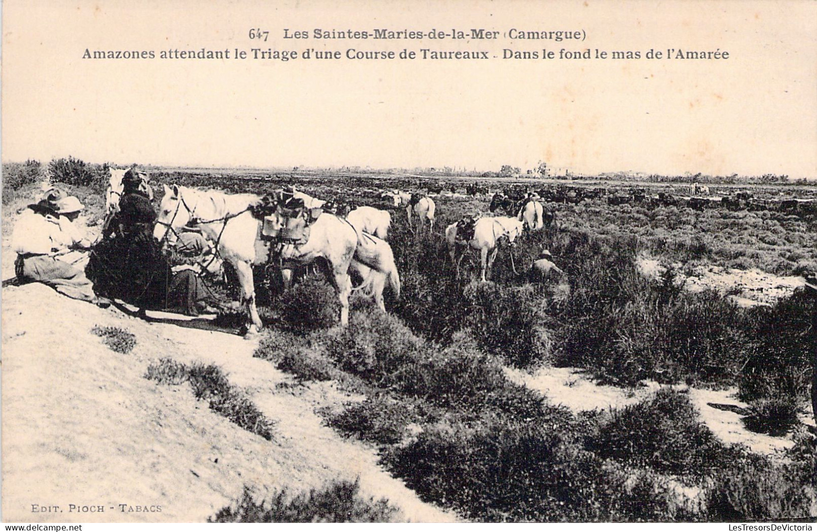 FRANCE - 13 - SAINT MARIES DE LA MER - Amazones Attendent Le Triage D'Une Course De Taureaux - Carte Postale Ancienne - Saintes Maries De La Mer