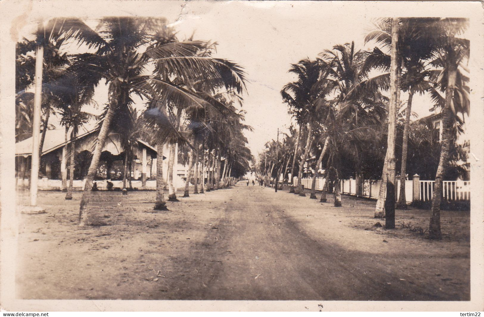 AFRIQUE . BENIN . COTONOU . AVENUE DE COCOTIERS - Benin