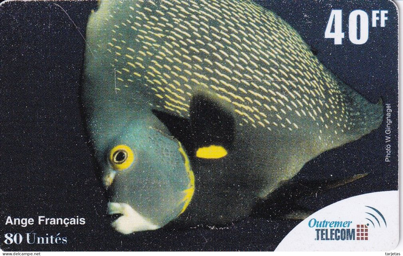 TARJETA DE ANTILLAS FRANCESAS DE UN PEZ ANGEL (FISH) OUTREMER TELECOM - Fish
