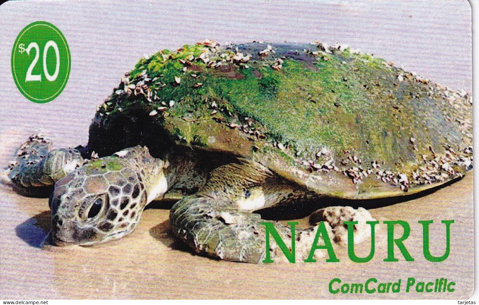 TARJETA DE NAURU DE UNA TORTUGA (TURTLE) - Turtles