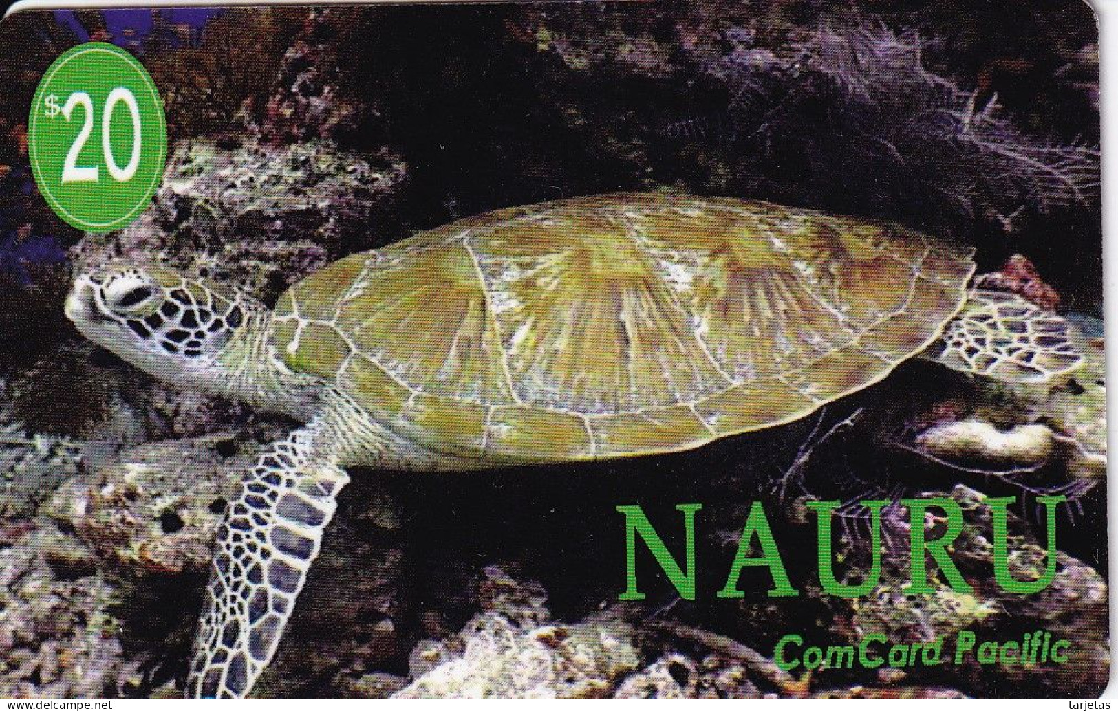 TARJETA DE NAURU DE UNA TORTUGA (TURTLE) - Schildpadden