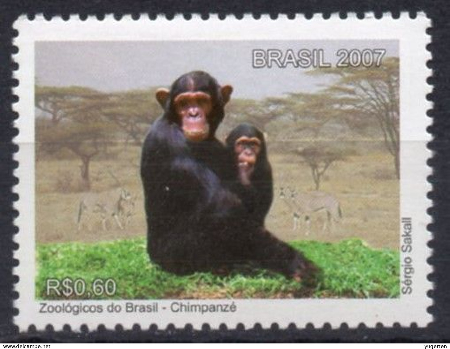 BRAZIL 2007 - 1v - MNH  - Chimpanzee - Singes - Chimpanzé - Schimpanse - Chimpancé - Scimpanzé - Chimpansee - Scimpanzé