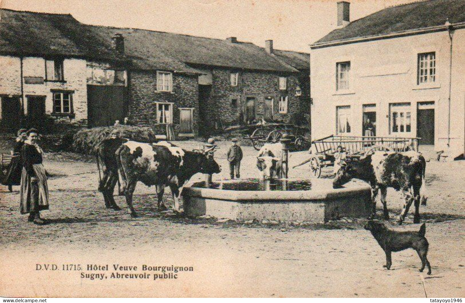 Hotel Veuve Bourguignon Sugny Abreuvoir Public Bien Animée - Vresse-sur-Semois