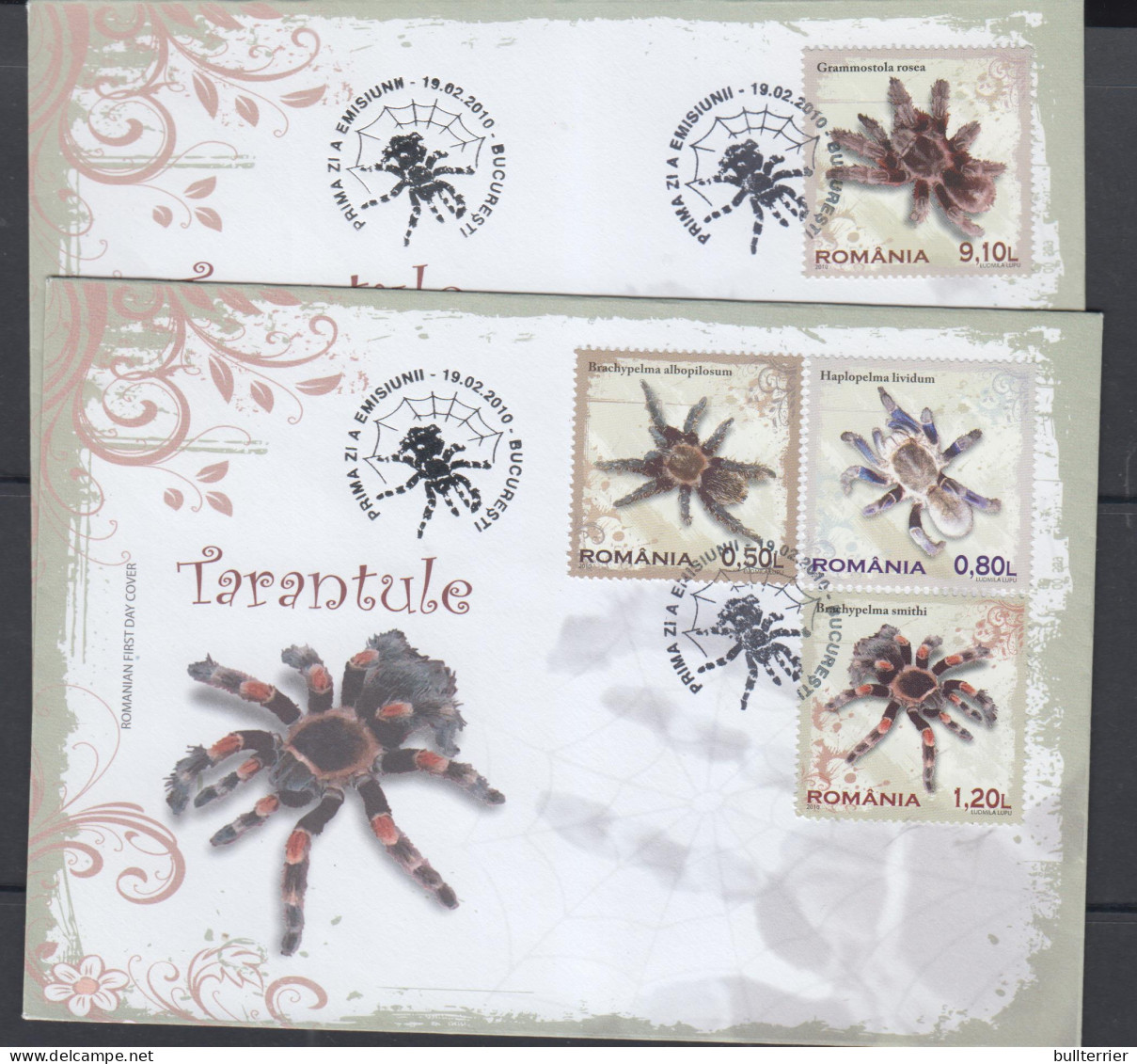 SPIDERS- ROMANIA - 2010 - SPIDERS SET OF 5  ON 2 ILLUSTRATED FDCS - Araignées