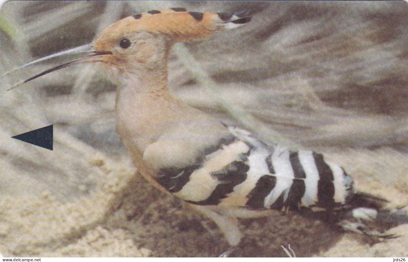 Bahrain Phonecard GPT  - - - Bird 46BAHC - Bahrein