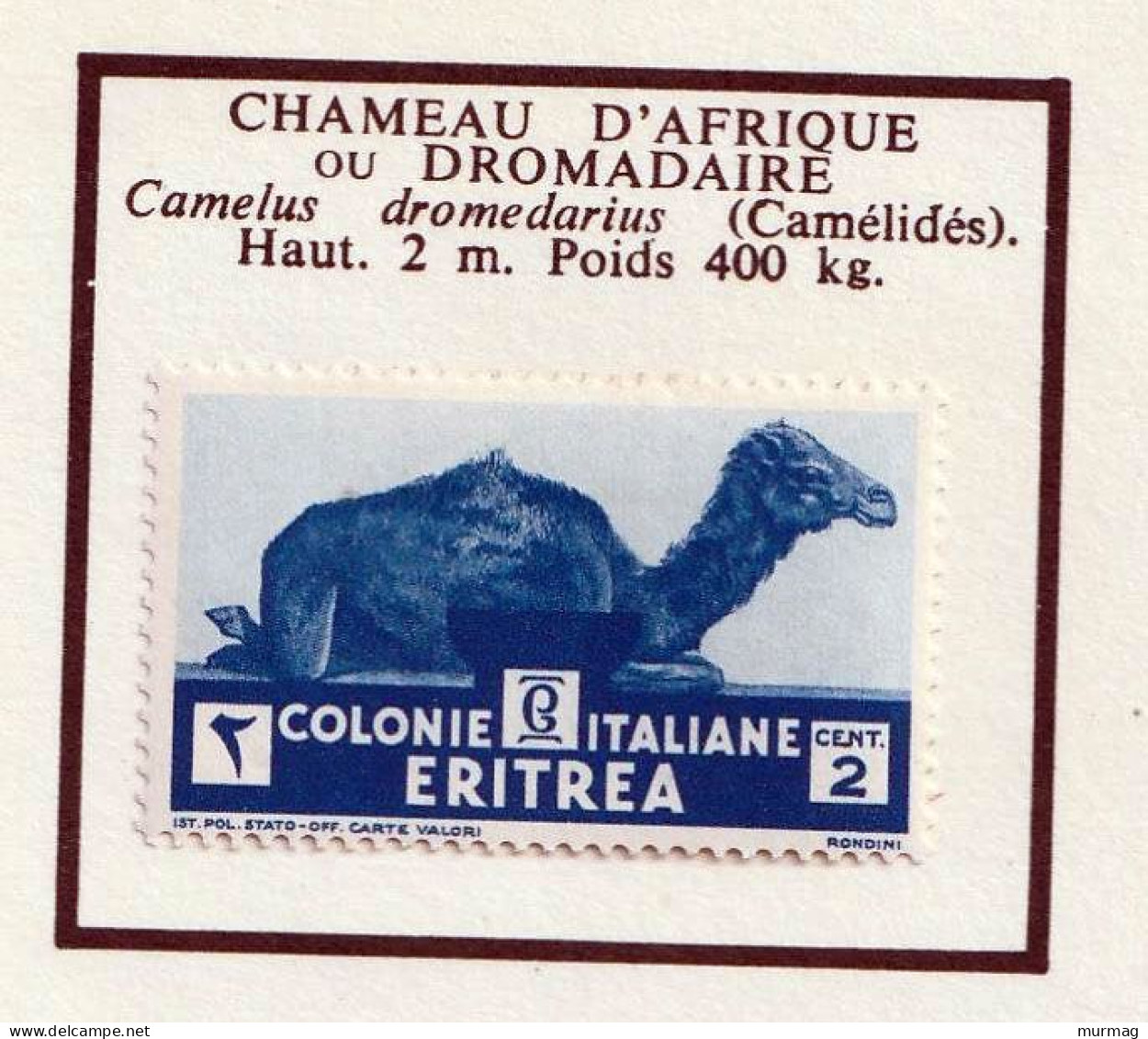 ERYTHREE - Faune, Chameaux - Y&T N° 195-197 - 1933 - Neuf Et Oblitéré - Eritrea