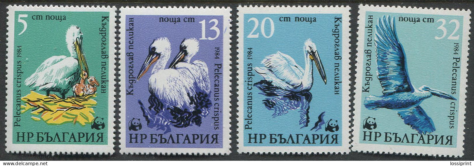 Bulgaria:Unused Stamps Serie Birds, Pelican, WWF, 1984, MNH - Pellicani