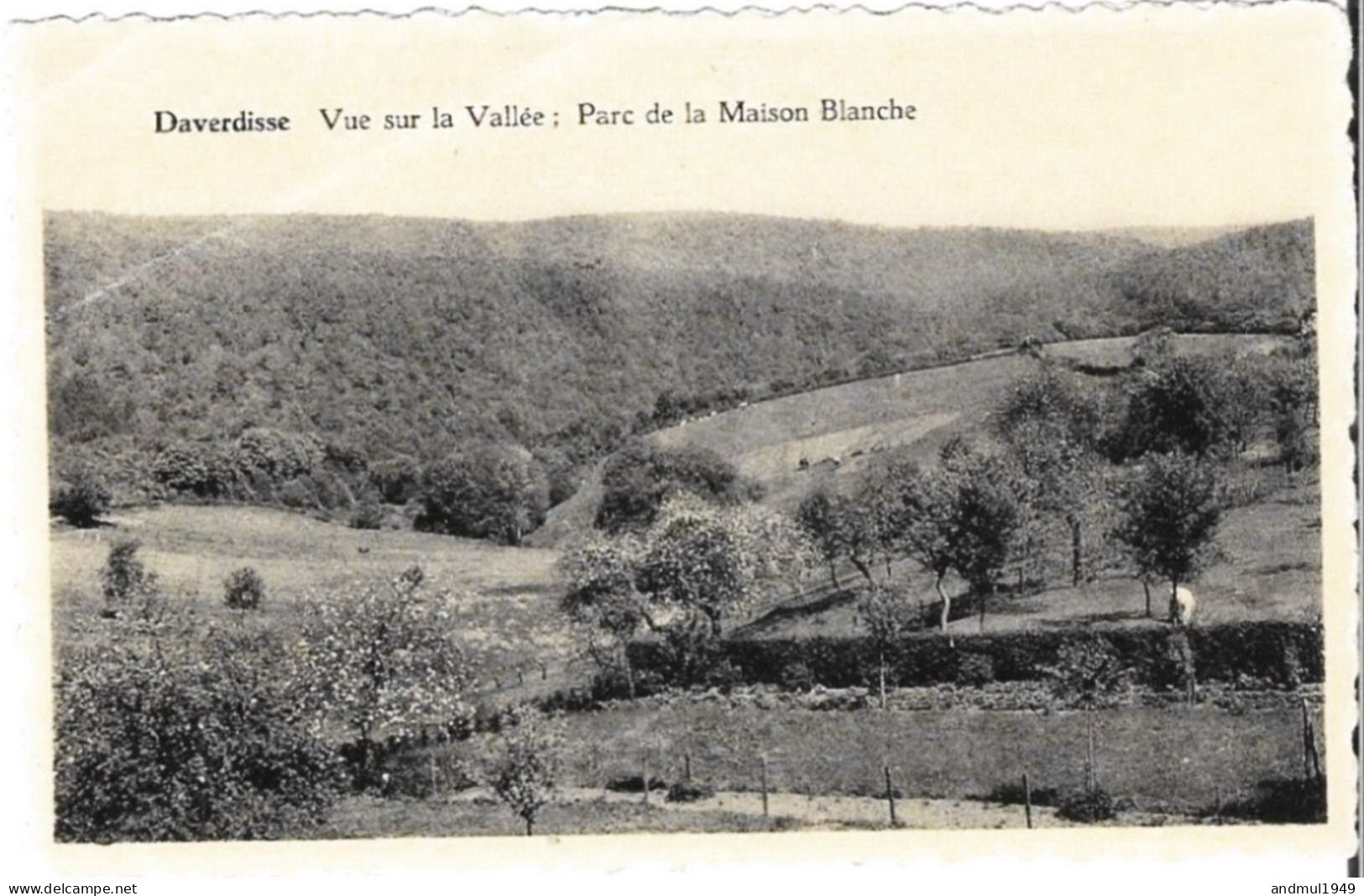 DAVERDISSE - Vue Sur La Vallée : Parc De La Maison Blanche - N'a Pas Circulé - Daverdisse