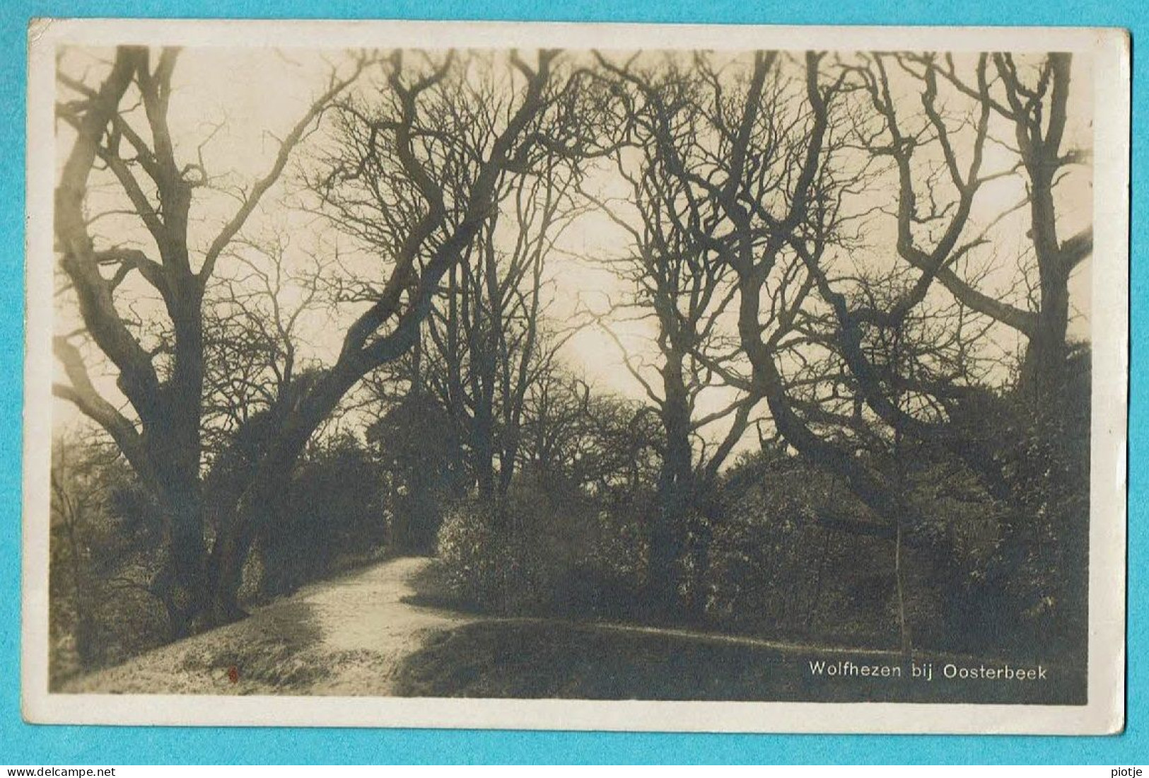 * Wolfhezen Bij Oosterbeek (Gelderland - Nederland) * (Boekhandel Romijn) Fotokaart, Bois, Bos, Old, Rare - Oosterbeek