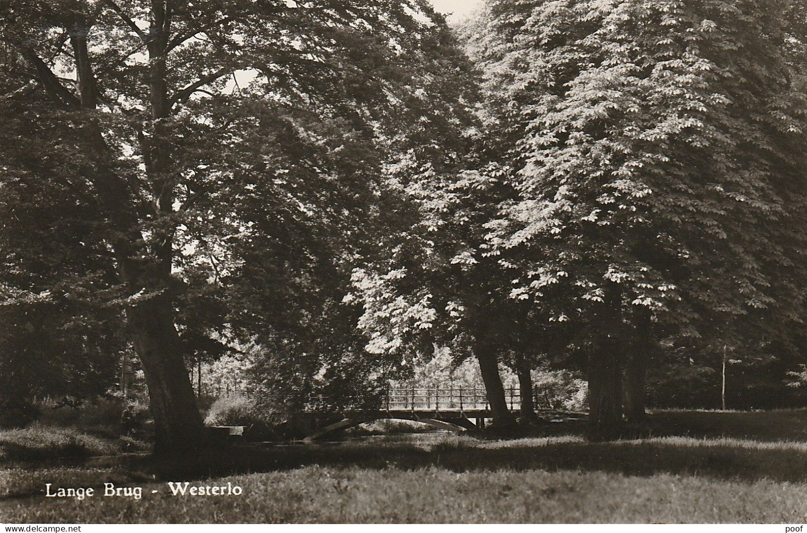 Westerlo : Lange  Brug - Westerlo