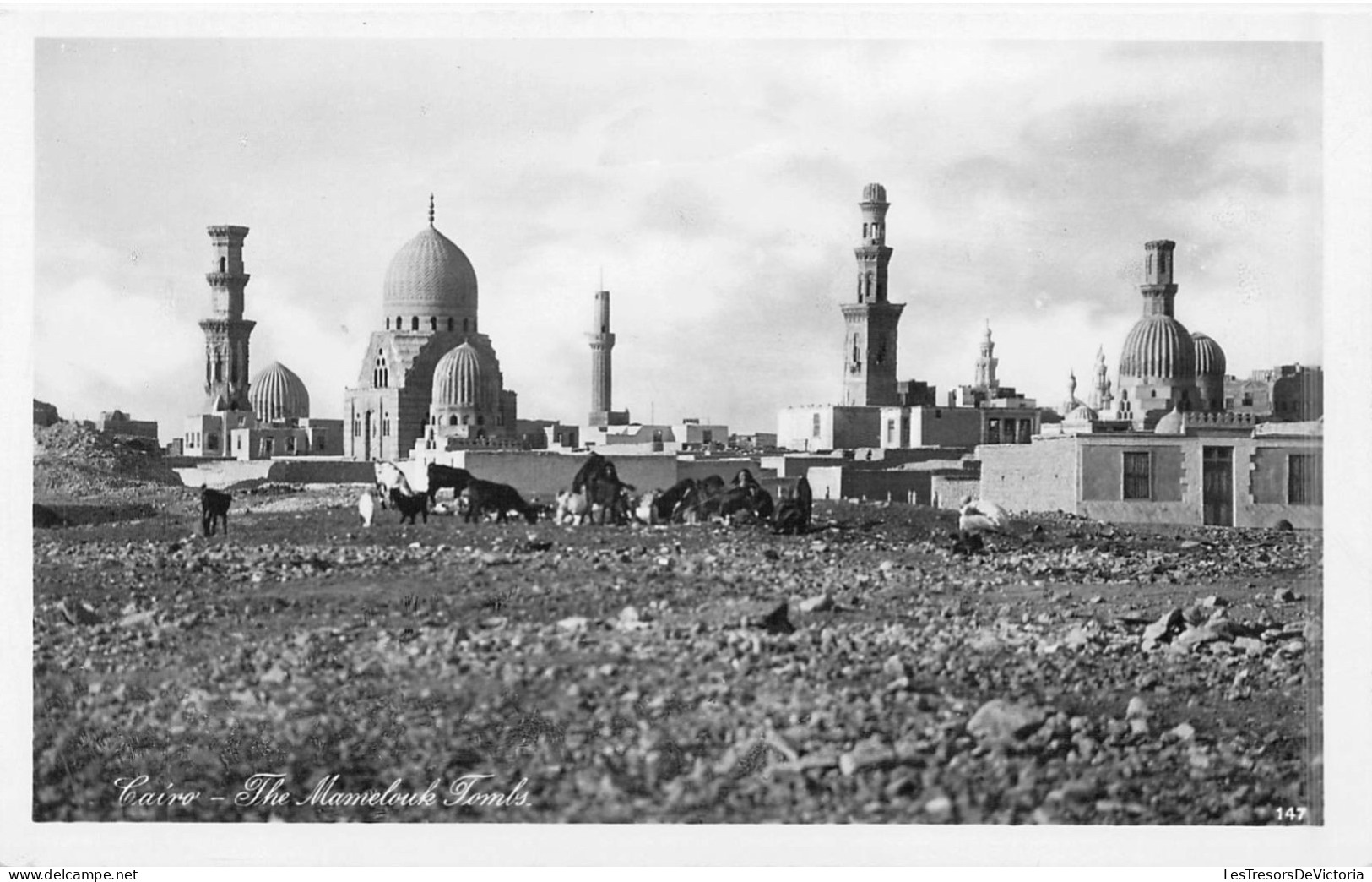 EGYPTE - Cairo - The Mamelouk Tombs - Carte Postale Ancienne - Kairo