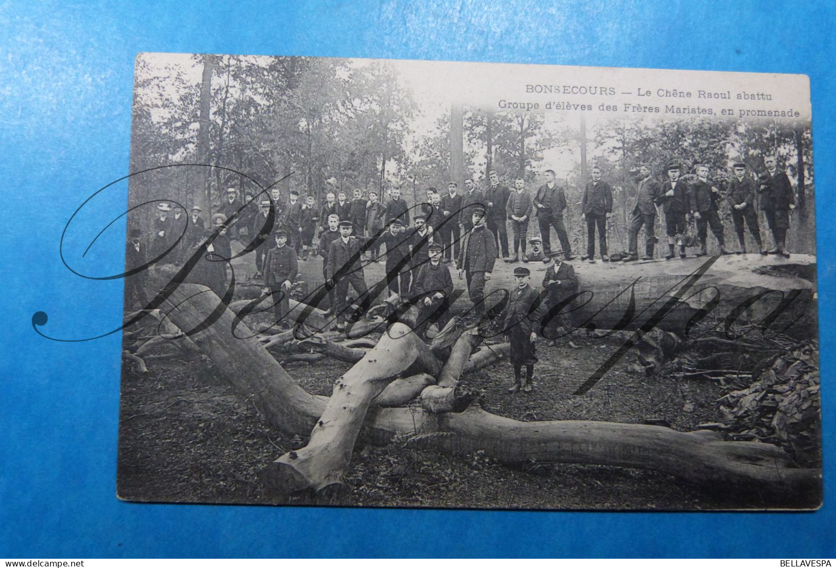 Bonsecours Le Chêne Raoul Abattu Groupe D'élèves Des Frères Maristes En Promenade - Kerken En Kloosters