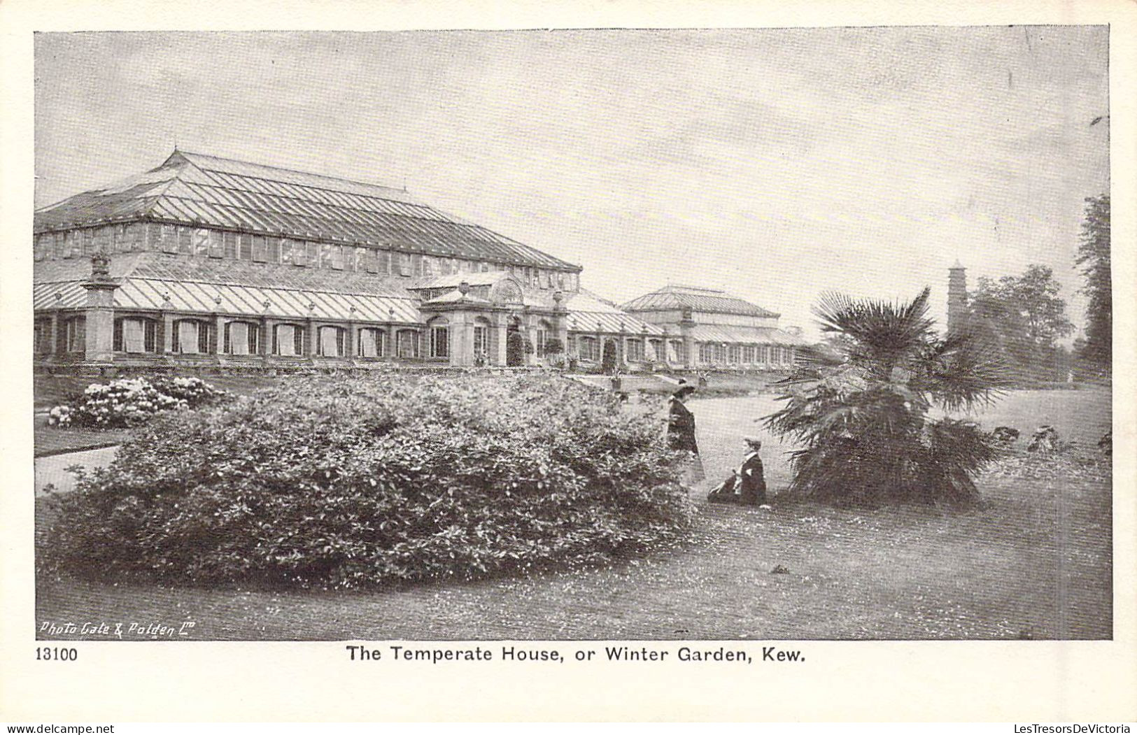 ROYAUME-UNIS - Angleterre - The Temperate House, Or Winter Garden, Kew - Carte Postale Ancienne - Norvège