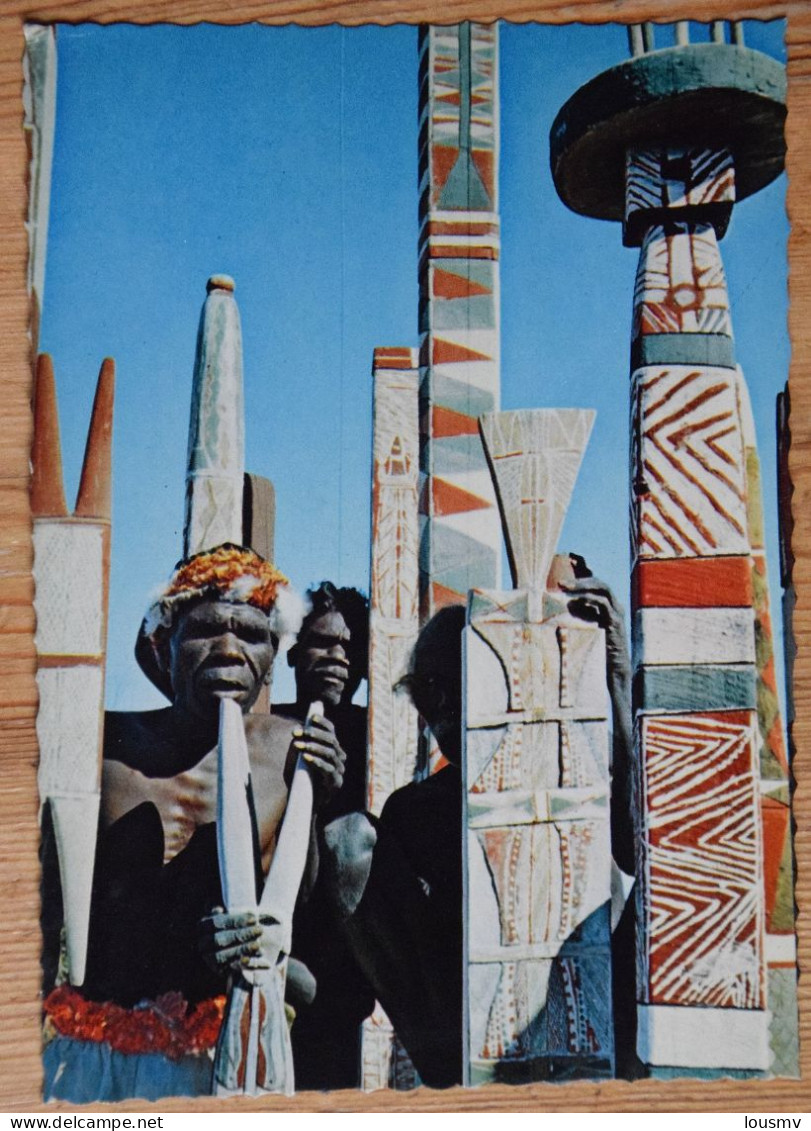 Arnhem Land - A Group Of Totem Poles Used By The Australian Aborigines - Aborigènes D'Australie - (n°25916) - Zonder Classificatie