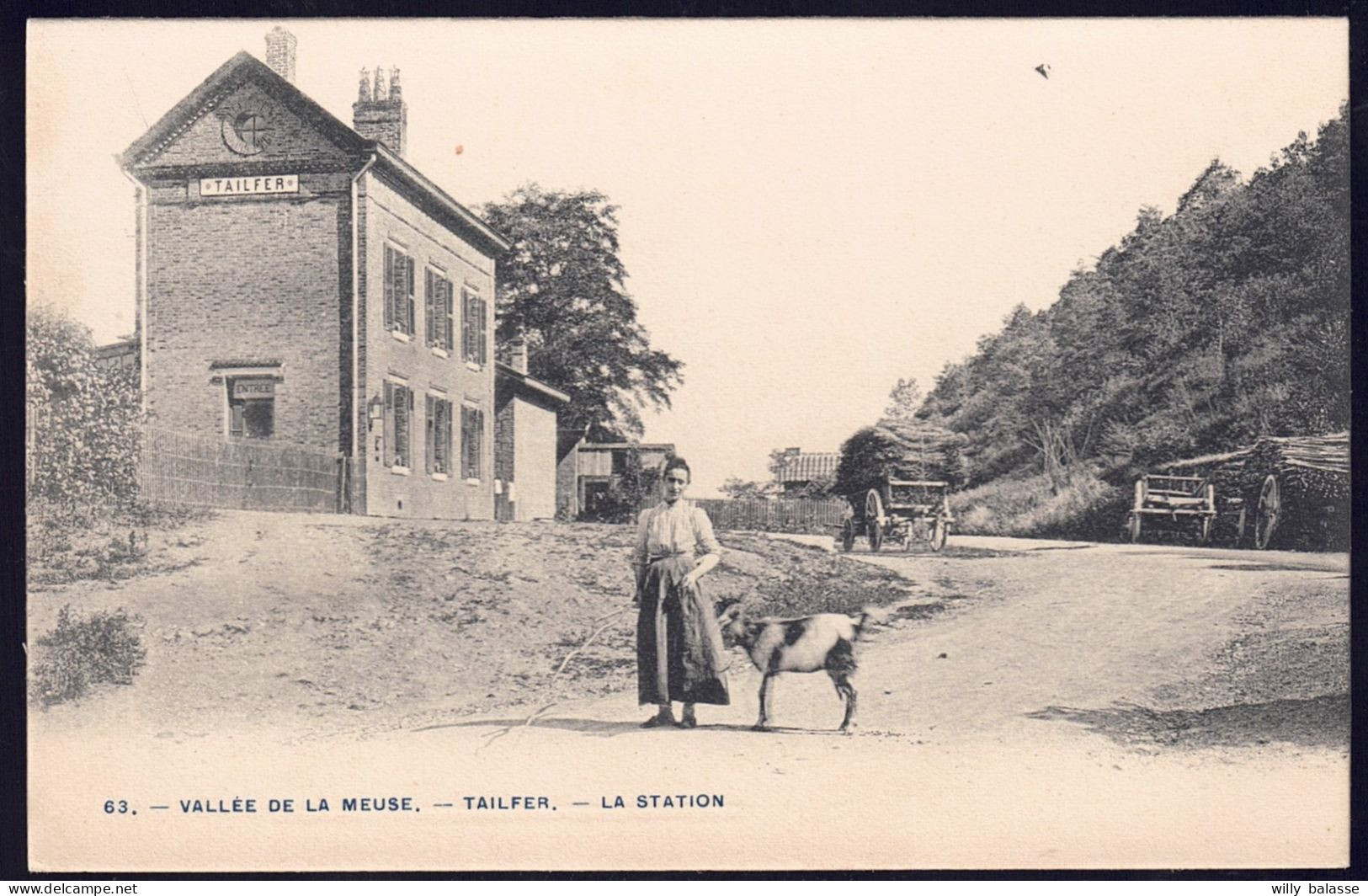 +++ CPA - Vallée De La Meuse - TAILFER - La Station - Gare - Carte Animée - Attelage  // - Profondeville