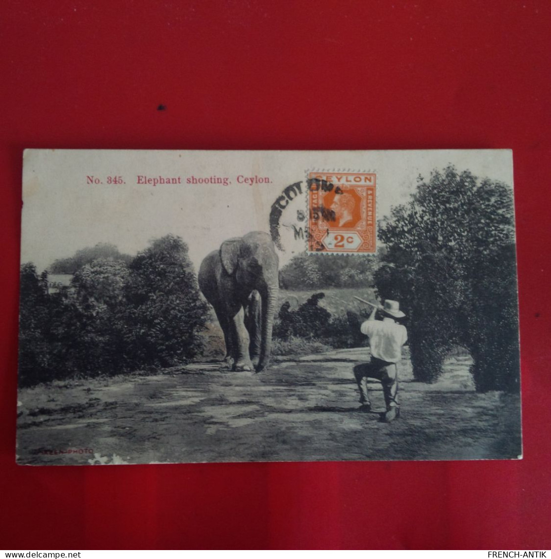 COLOMBO ELEPHANT SHOOTING - Sri Lanka (Ceylon)