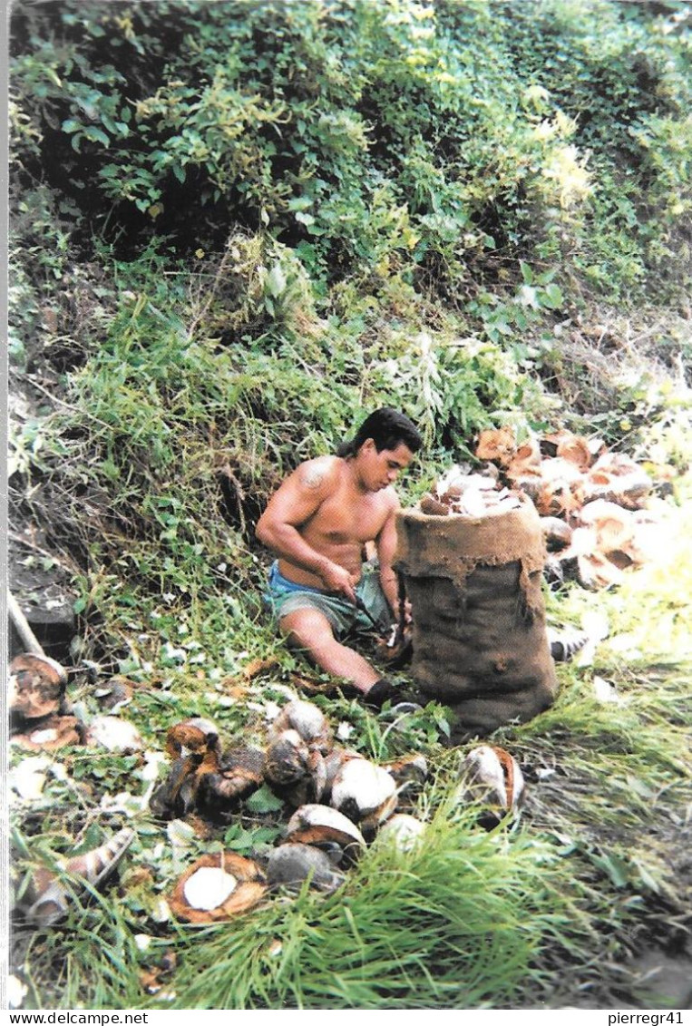 CPA-1960-POLYNESIE-ILES MARQUISES-NUKA-HIVA-Travail Du Coprah Dans La Montagne-TBE - Polynésie Française