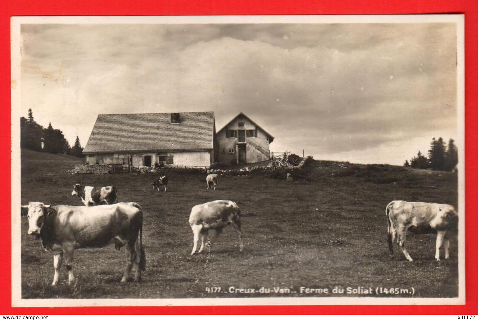 DAL-29 Creux Du Van.,Ferme Robert. Troupeau De Vaches. Soc. Graphique. Collage Au Dos - Autres & Non Classés