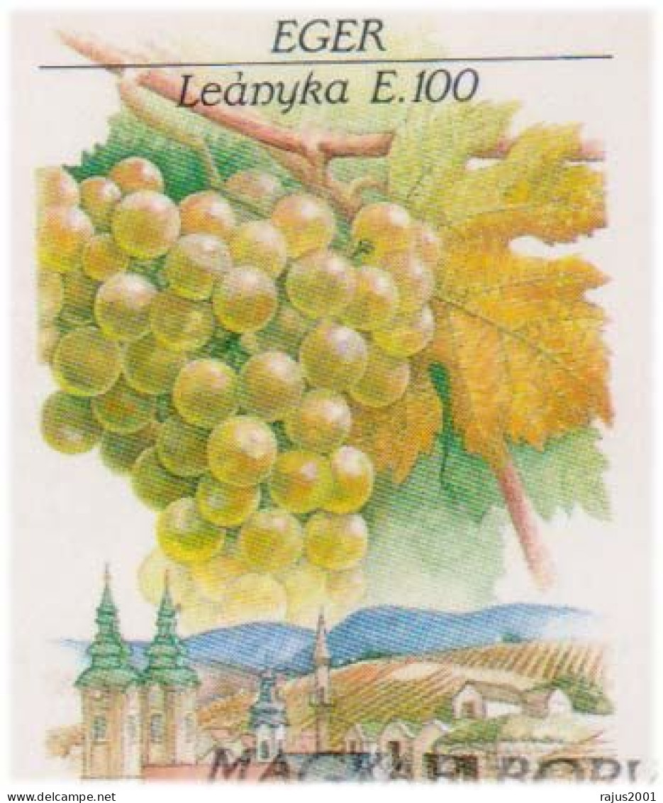 Hungarian Wine, Alcohol, Black Grapes, Grape, Botanical, Fruits, Wine Making Machine, IMPERF STAMPS Registered Cover - Vins & Alcools