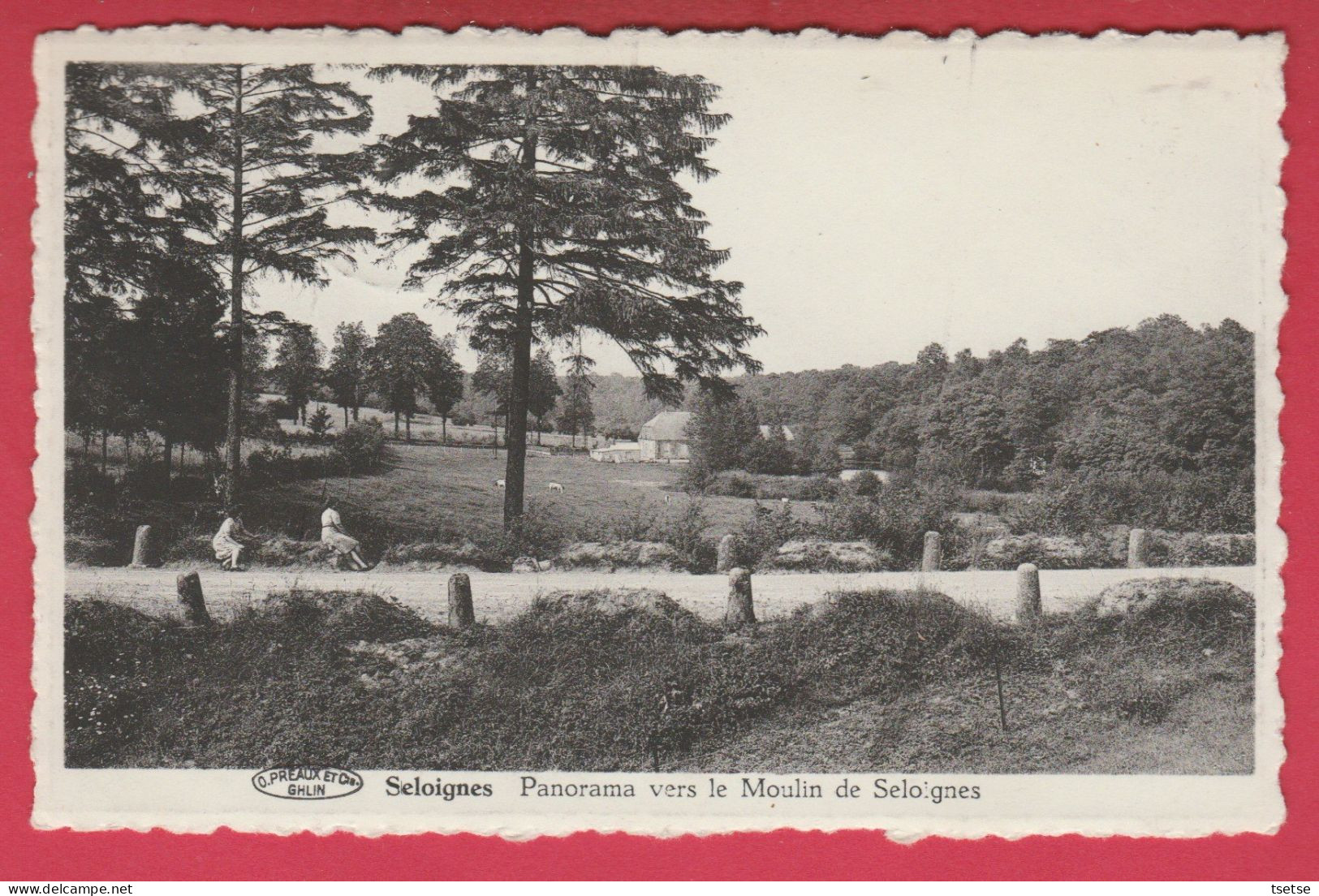 Seloignes - Panorama Vers Le Moulin De Seloignes -1952 ( Voir Verso ) - Momignies