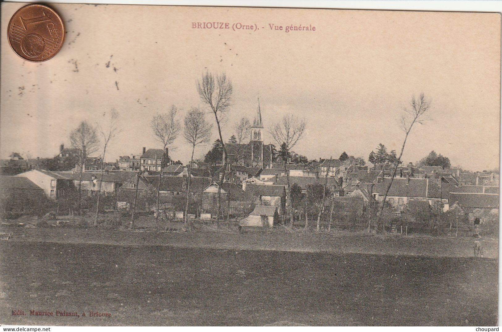 61 -  Carte Postale Ancienne  De  BRIOUZE   Vue Générale - Briouze