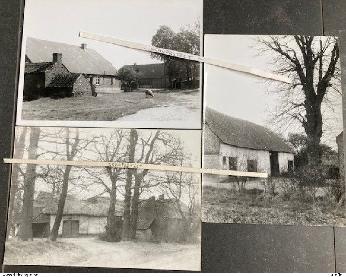 EKSEL-BOERDERIJ-LEEM-LOCHT+KIEZEL+SPOOR-LOTJE-3-ORIGINELE-PRIVE-FOTOS-AFMETINGEN+-12,5-17,5 CM-JAREN 70-HEEMKUNDE-RARE - Hechtel-Eksel