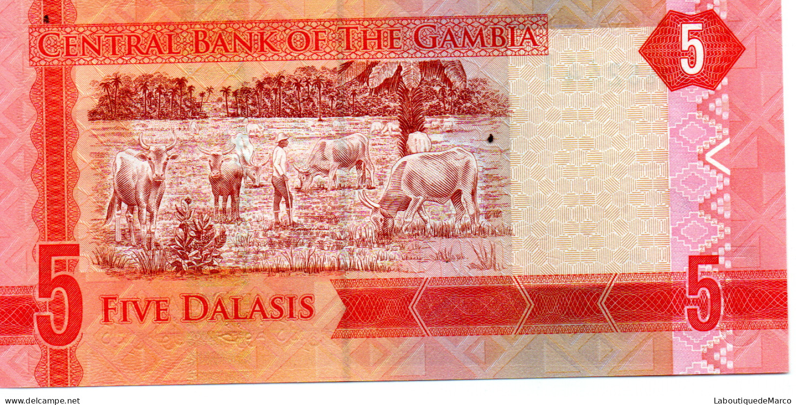 Gambie - Pk N° 31 - 5 Dalasis - Gambia