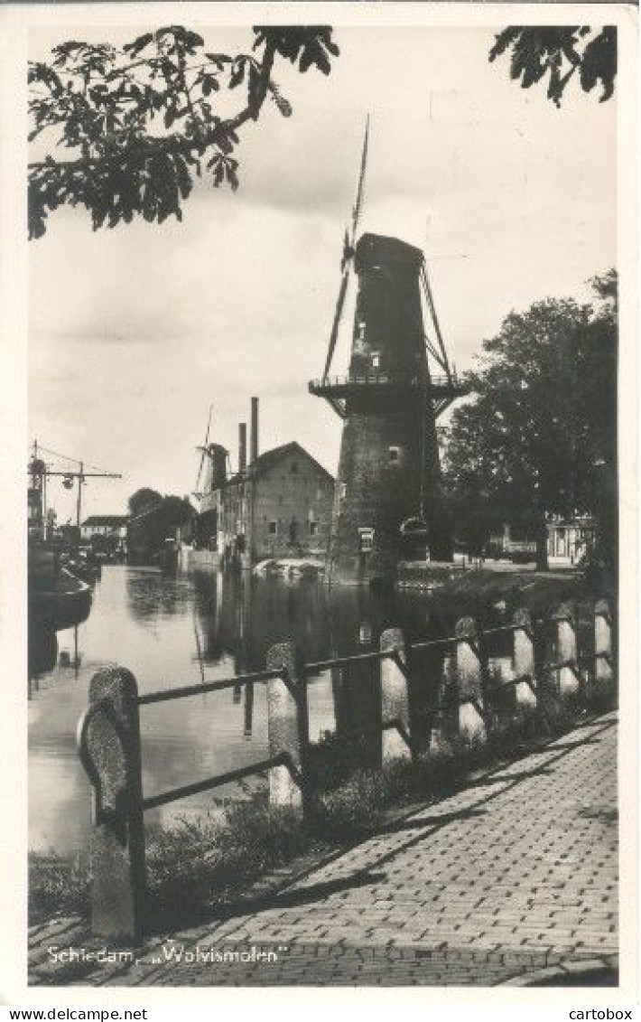 Schiedam, Walvismolen - Schiedam