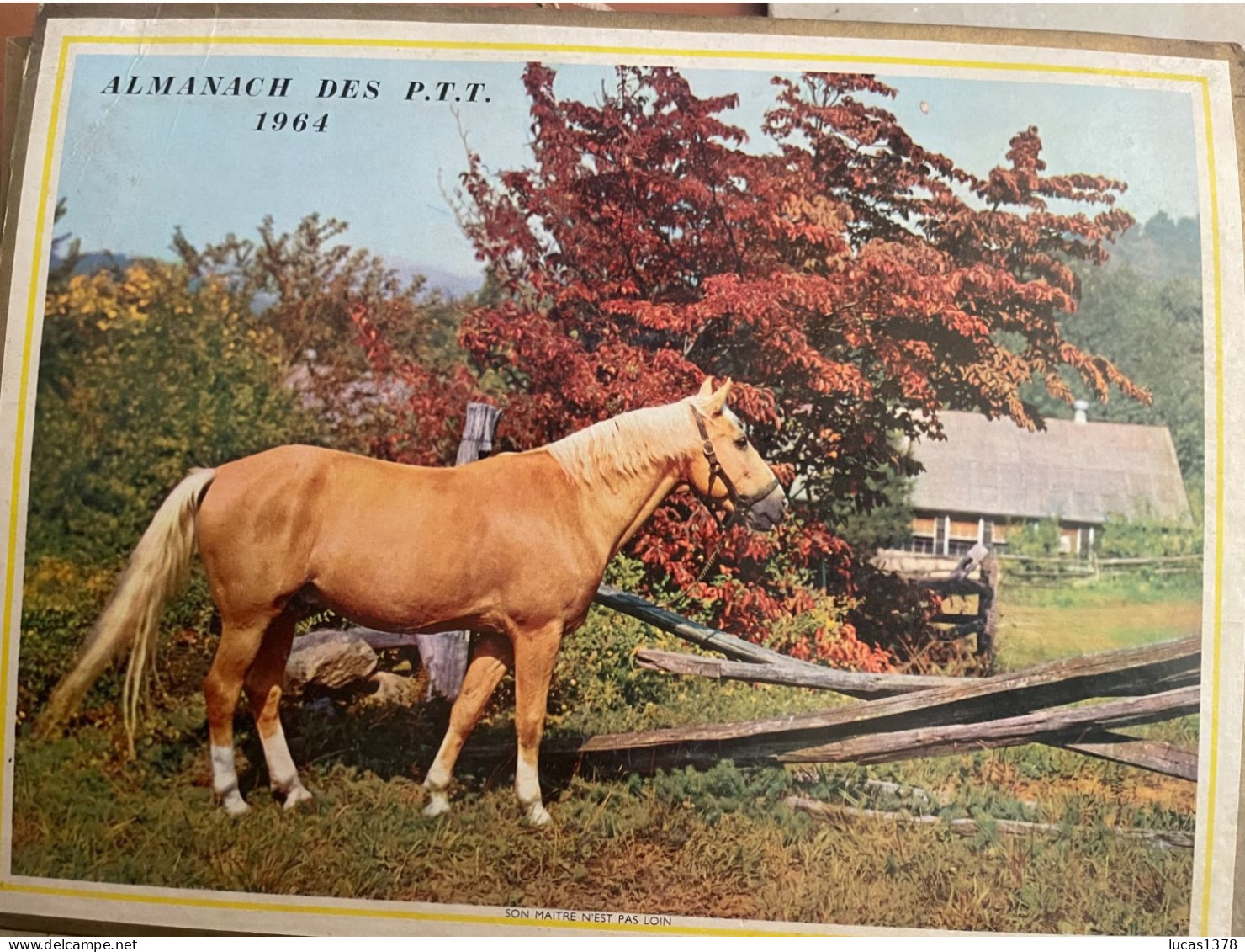 CALENDRIER ALMANACH DES POSTES  1964 / CHATS CHIENS CHEVAUX - Tamaño Grande : 1961-70