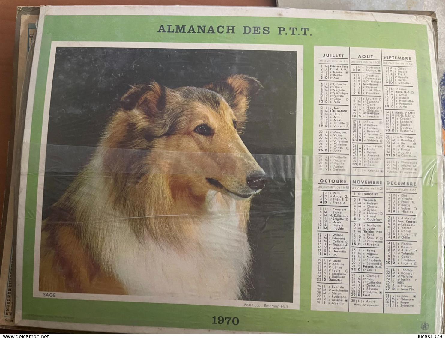 CALENDRIER ALMANACH DES POSTES  1970 / CHAT / CHIEN - Grand Format : 1961-70