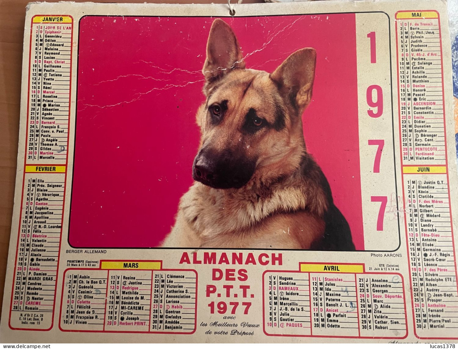 CALENDRIER ALMANACH DES POSTES  1977 / CHIEN / CHAT - Groot Formaat: 1971-80