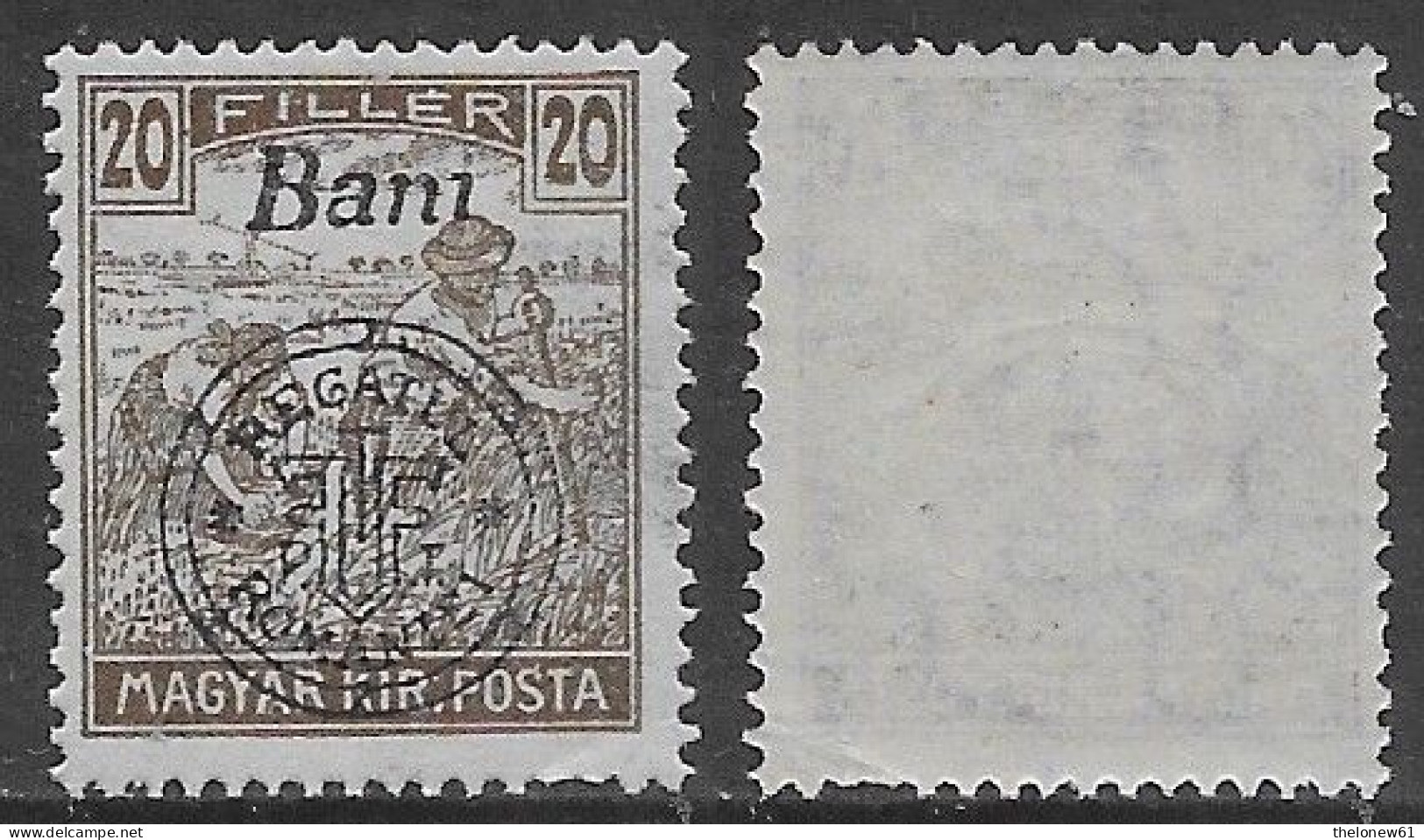 Ungheria Hungary 1919 Regatul Romaniei 20B Mi N.33 MNH ** - Ocupaciones