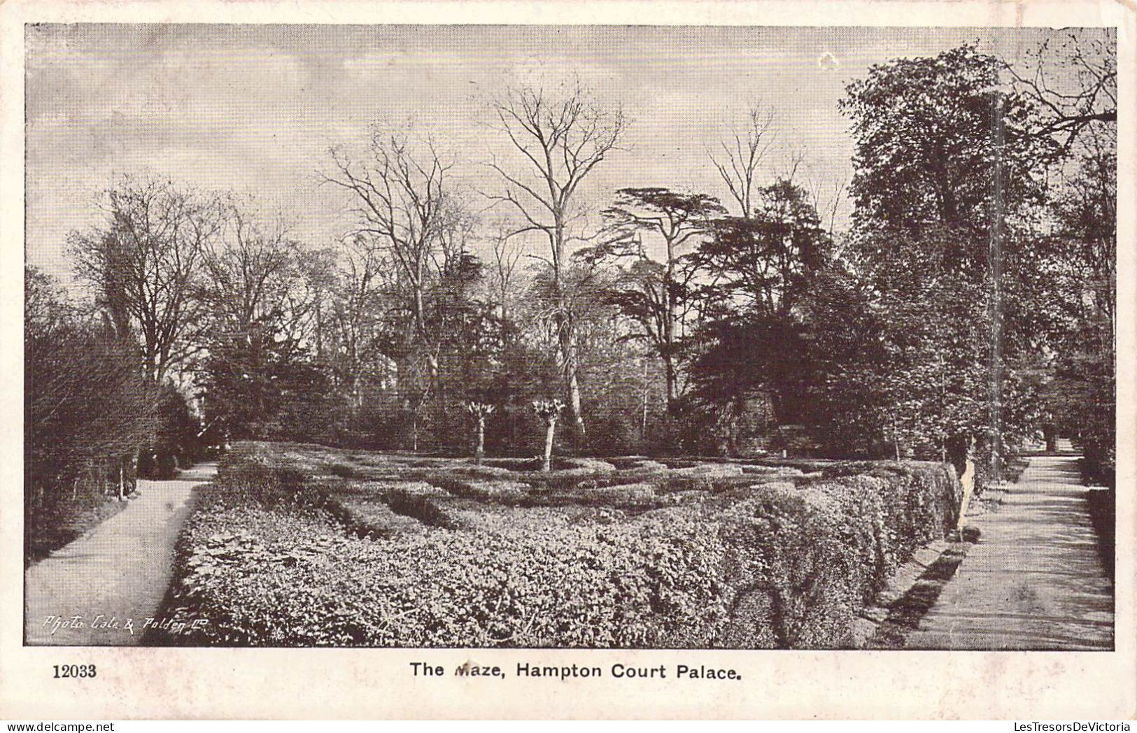 ANGLETERRE - The Maze - Hampton Court Palace - Carte Postale Ancienne - Andere & Zonder Classificatie