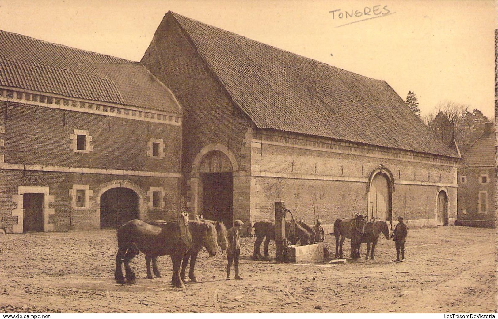 BELGIQUE - TONGRES - Château Des Vieux Joncs - Un Coin De La Ferme - Carte Postale Ancienne - Tongeren