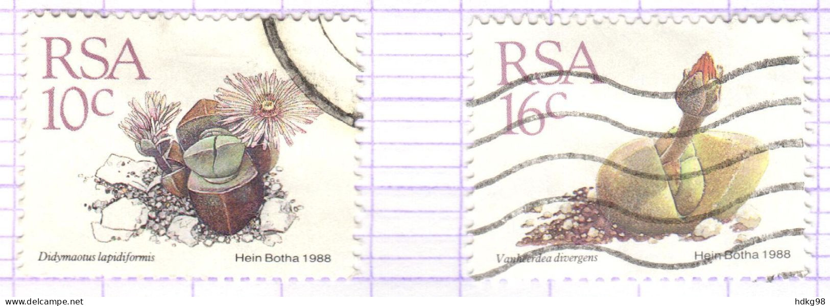 RSA+ Südafrika 1988 Mi 747-48 Sukkulenten - Used Stamps