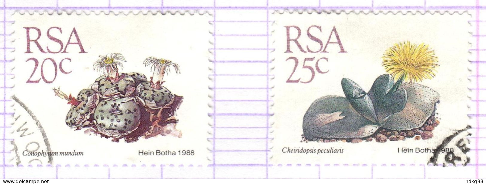 RSA+ Südafrika 1988 Mi 749-50 Sukkulenten - Oblitérés