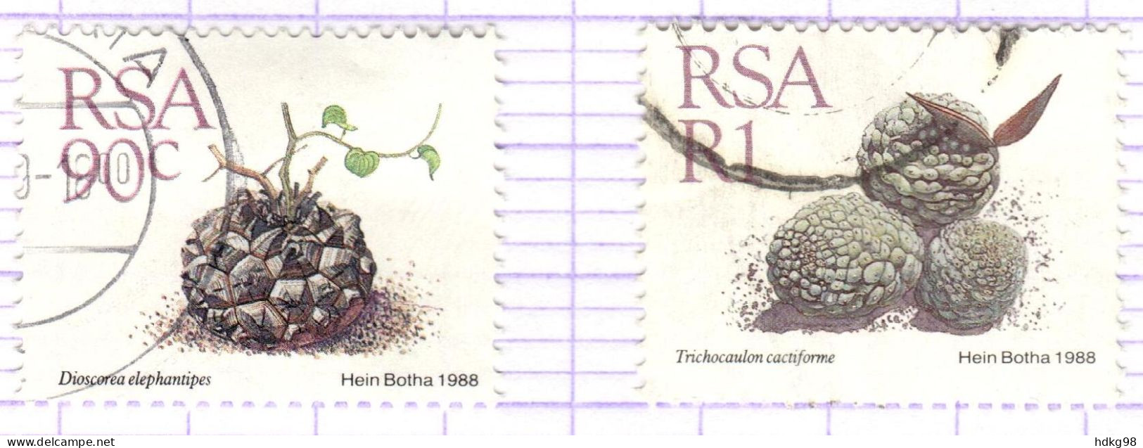 RSA+ Südafrika 1988 Mi 755-56 Sukkulenten - Used Stamps