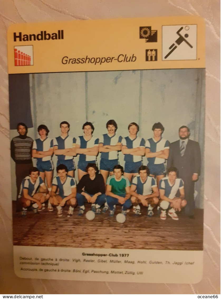 Fiche Rencontre Handball  Grasshopper Club - Handball