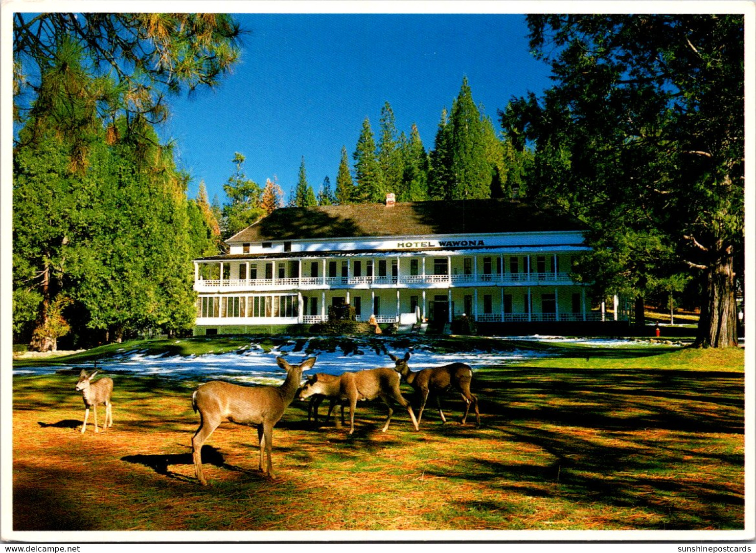 California Yosemite National Park The Wawona Hotel - Yosemite