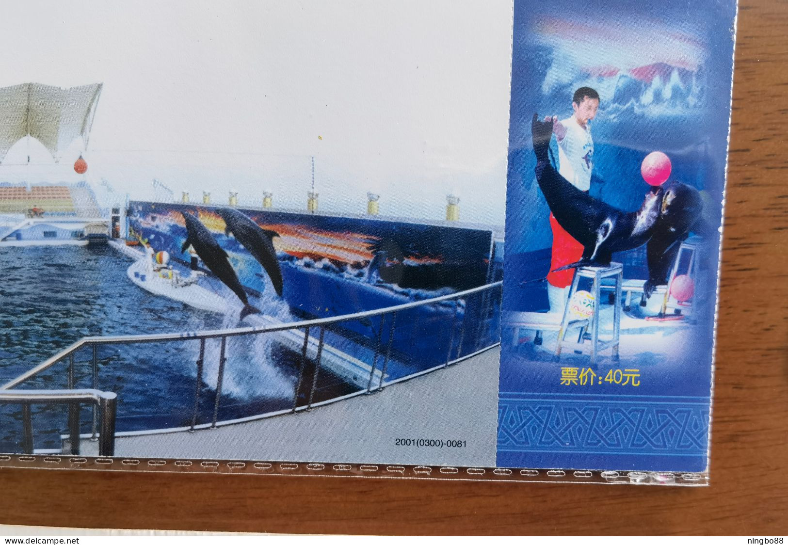 Dolphinarium Jumping Dolphin,marine Mammal,China 2001 Qinhuangdao Undersea World Aquarium Advertising Pre-stamped Card - Dauphins