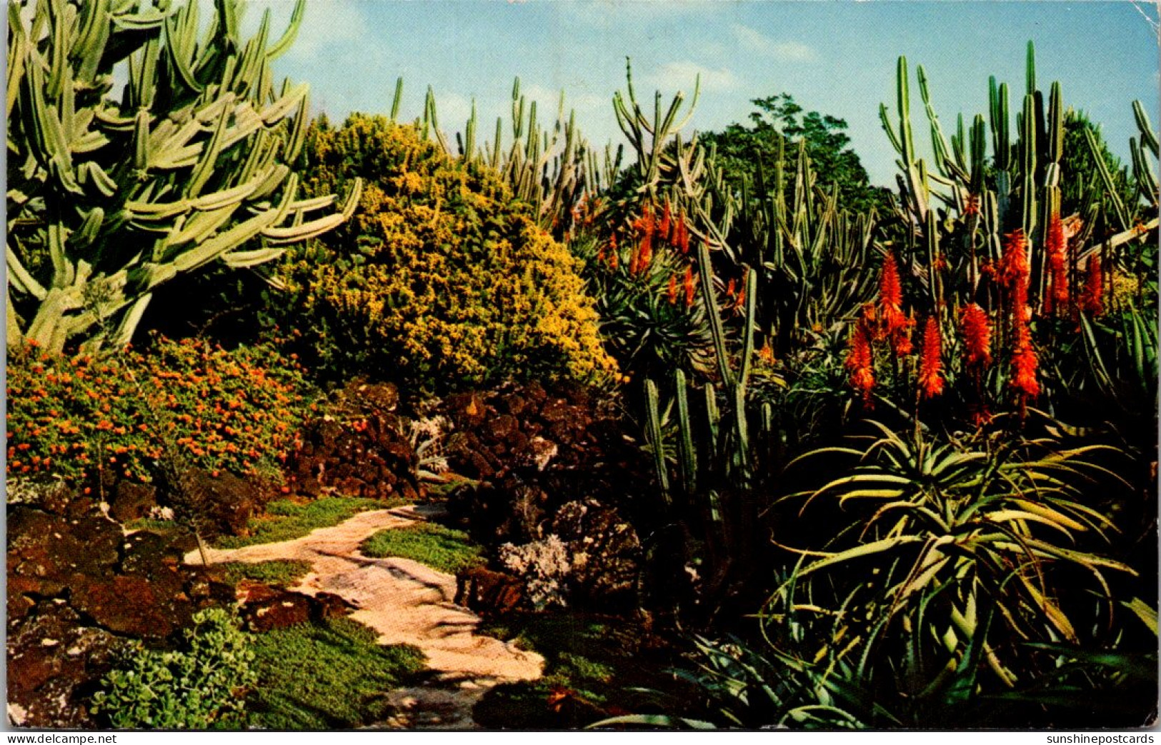Hawaii Kauai Koloa Moir's Pa U-A-Laka Gardens 1968 - Kauai