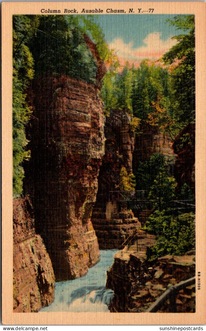 New York Ausable Chasm Column Rock Curteich - Adirondack