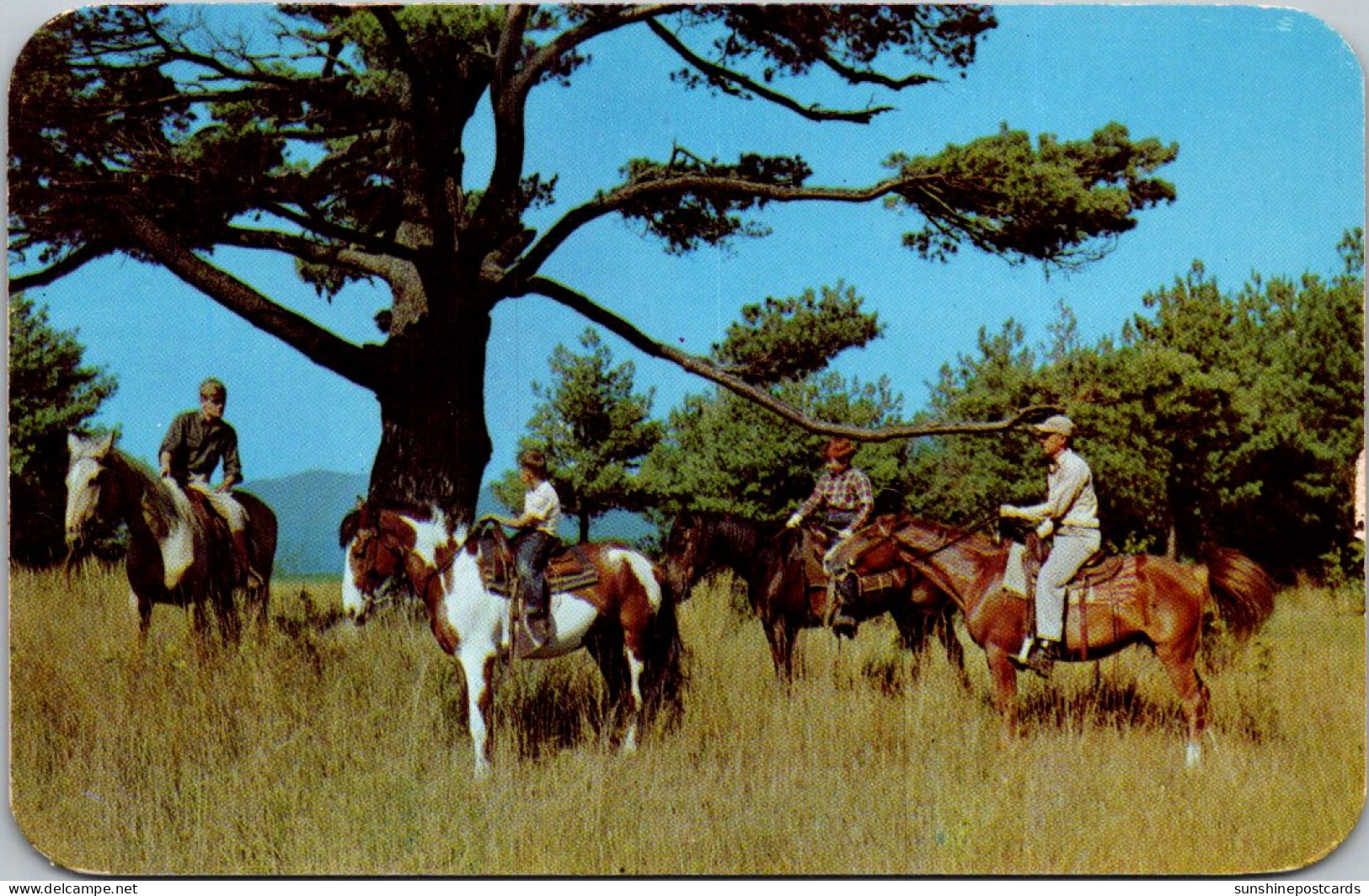 New York Horseback Riders With View Of Lake George - Lake George