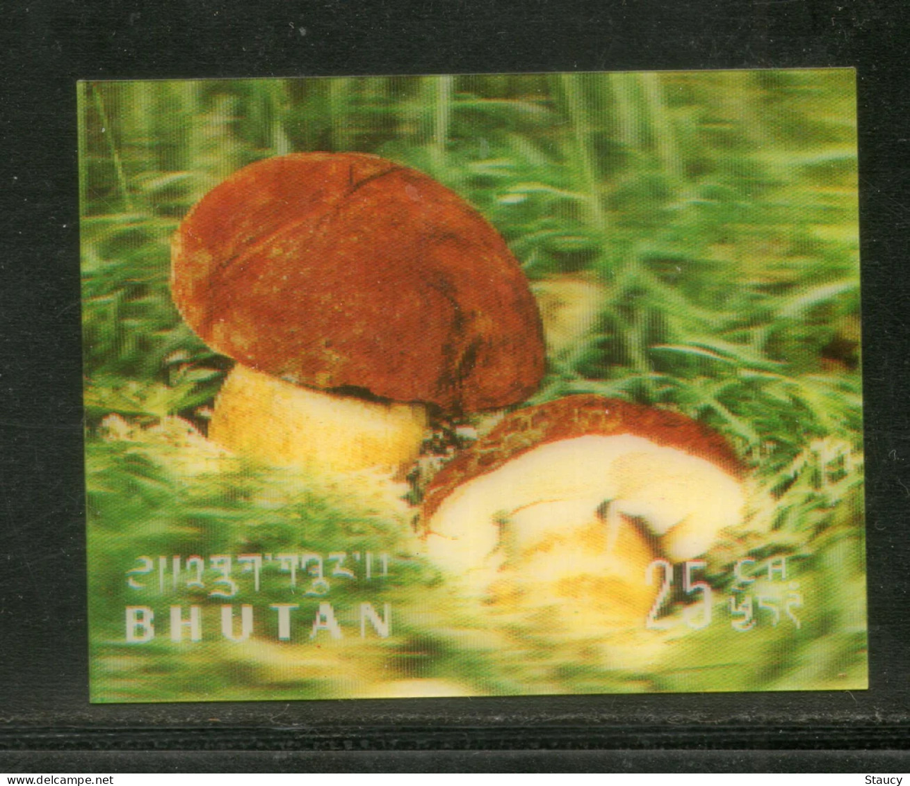 BHUTAN 1973 MUSHROOMS Plastic - 3-D Odd / Unusual / Unique Stamp MNH, As Per Scan - Fehldrucke