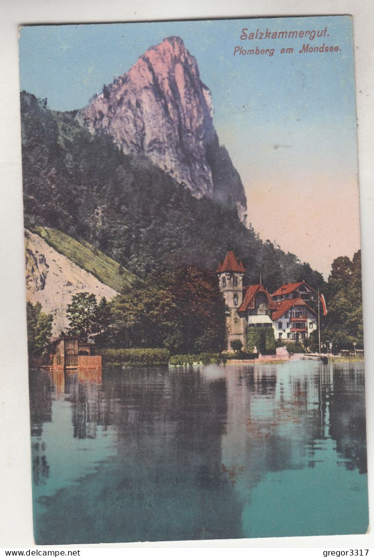 C6797) Salzkammergut - PLOMBERG Am MONDSEE - 1916 - Mondsee