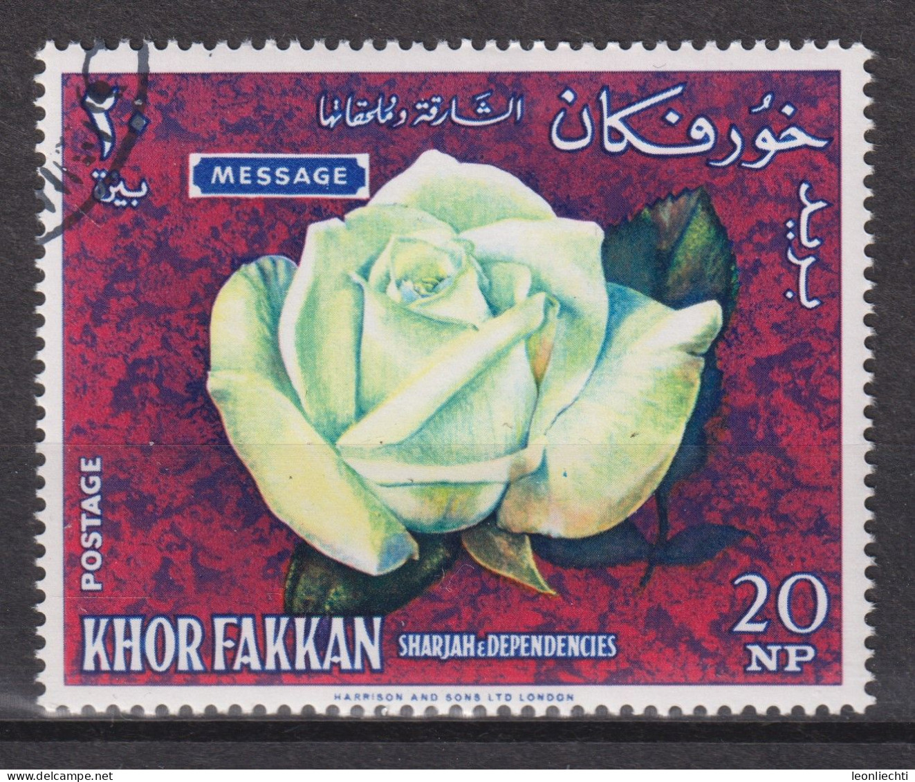 1966 Khor Fakkan Mi:AE-KF 54A, Yt:AE-KF 25-A, White Hybrid Tea Rose "Message"; Breeder Meilland/France '53 - Khor Fakkan