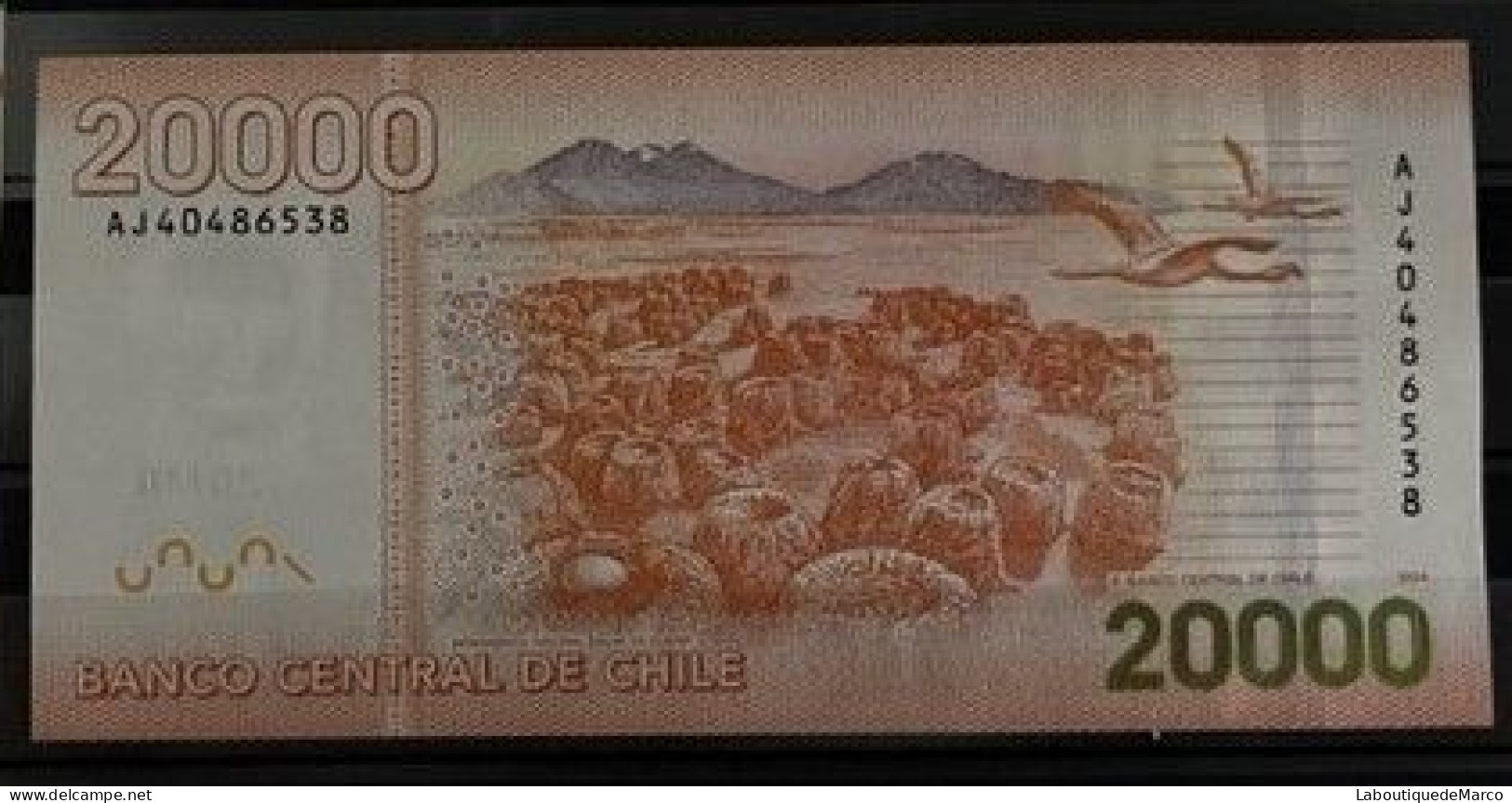 Chili - Pk N° 165e - 20 000 Pesos - Cile