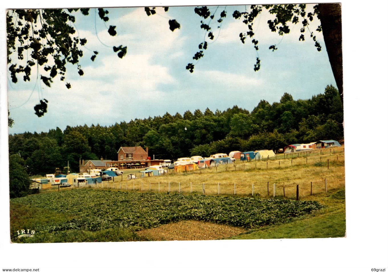 Kluisberg - Mont De L'Enclus RUIEN : Camping Panorama - Kluisbergen